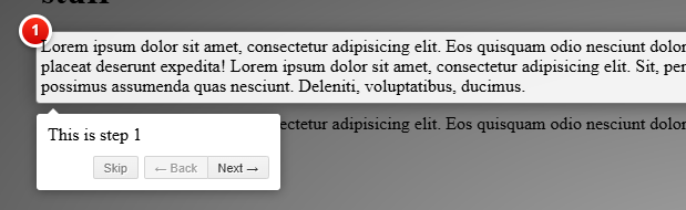 Intro.js Guided Page Tour