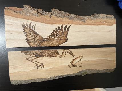 Bird Catching Fish Split