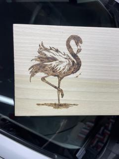 Flamingo First Attempts